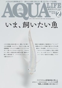 アクアライフ 2月号 発売日年01月11日 雑誌 電子書籍 定期購読の予約はfujisan