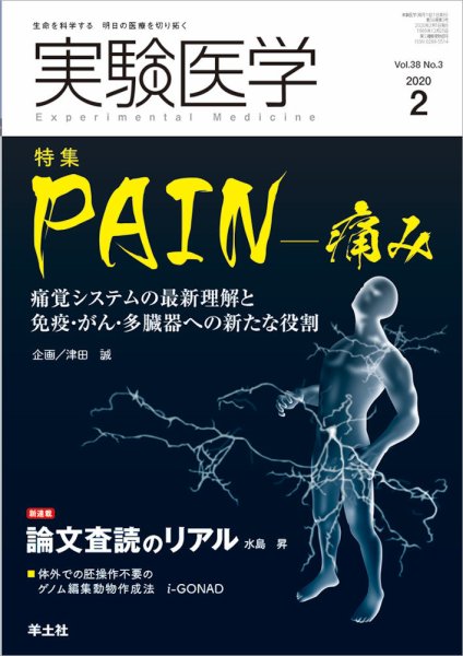 実験医学 Vol.38No.3 (発売日2020年01月20日) 表紙