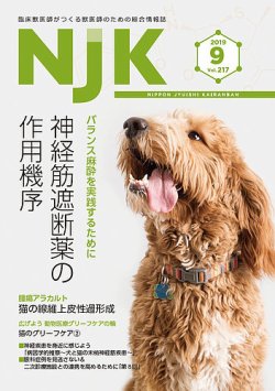 NJK Vol.217 (発売日2019年09月01日) 表紙