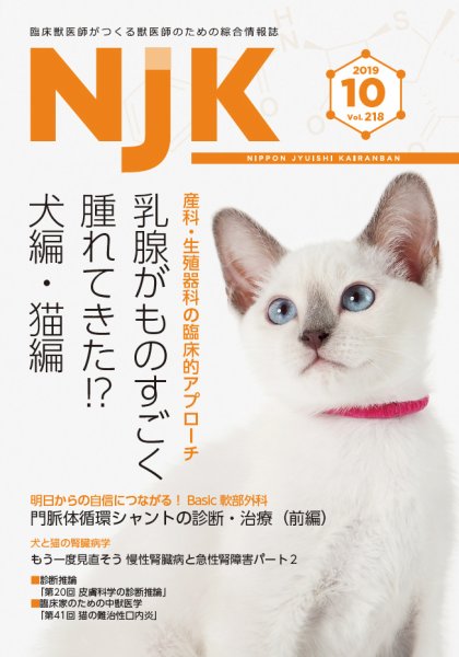 NJK Vol.218 (発売日2019年10月01日) 表紙