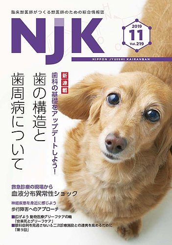 Njk Vol 219 発売日19年11月01日 雑誌 定期購読の予約はfujisan