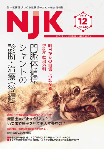 NJK Vol.220 (発売日2019年12月01日) 表紙