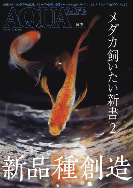 メダカ飼いたい新書 2号 (発売日2019年07月31日) 表紙