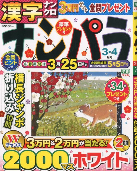 ナンパラ 2020年3月号 (発売日2020年01月24日) 表紙