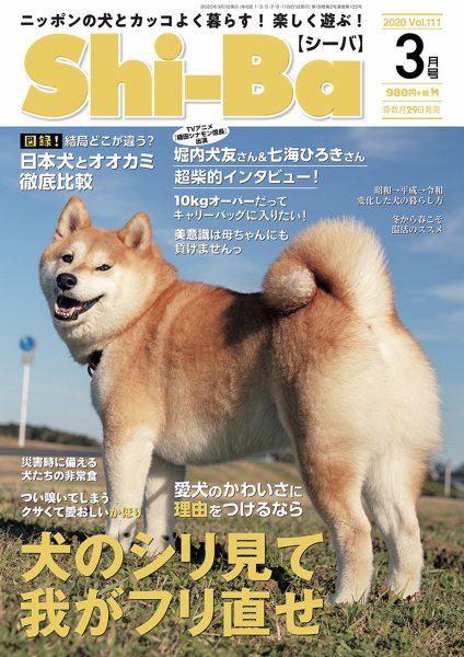 Shi-Ba(シーバ)　 2020年3月号 (発売日2020年01月29日) 表紙