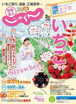 関東 東北じゃらん 関東 東北じゃらん3月号 発売日年02月01日 雑誌 定期購読の予約はfujisan