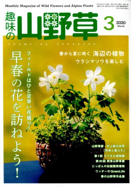 趣味の山野草 2020年3月号 (発売日2020年02月12日) 表紙