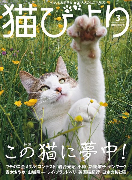 猫びより 2020年3月号 (発売日2020年02月12日) 表紙