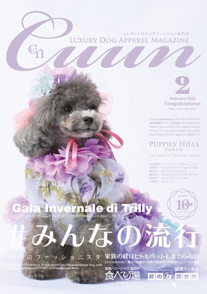 Cuun（クーン） 2020年2月号 (発売日2020年02月10日) 表紙