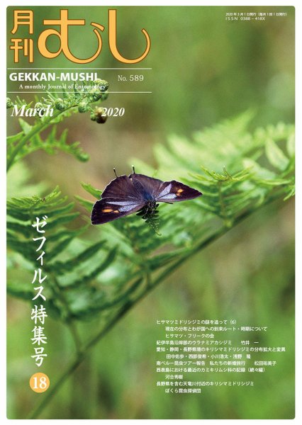 月刊むし 589 (発売日2020年02月20日) 表紙