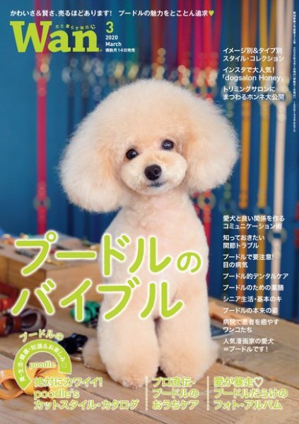 wan（わん） 2020年3月号 (発売日2020年02月14日) 表紙
