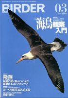 BIRDER（バーダー） 2020年3月号 表紙