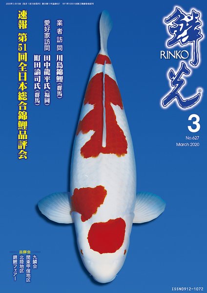 鱗光 2020年02月15日発売号 表紙