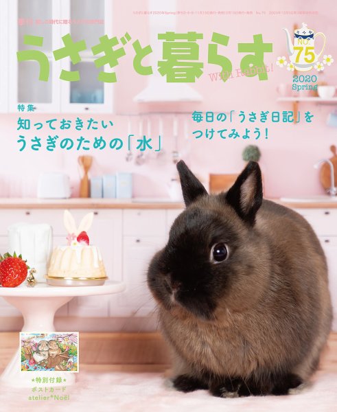うさぎと暮らす 2020年4月号 (発売日2020年02月19日) 表紙