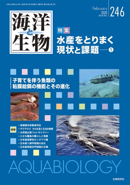 海洋と生物 246号 (発売日2020年02月15日) 表紙