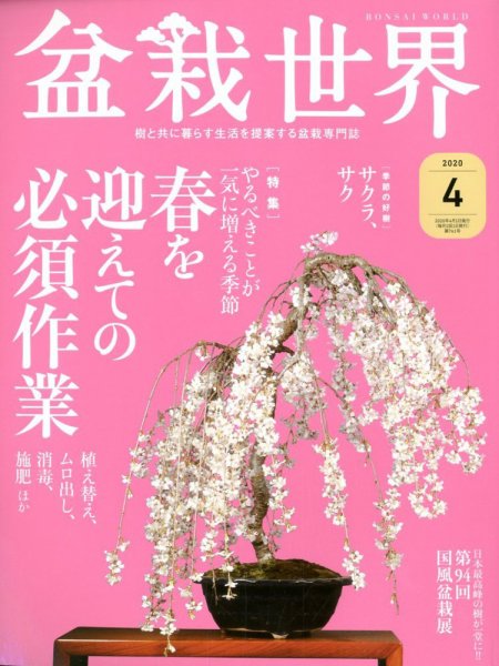 盆栽世界 2020年4月号 (発売日2020年03月04日) 表紙