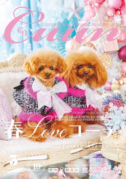 Cuun（クーン） 2020年3月号 (発売日2020年03月10日) 表紙