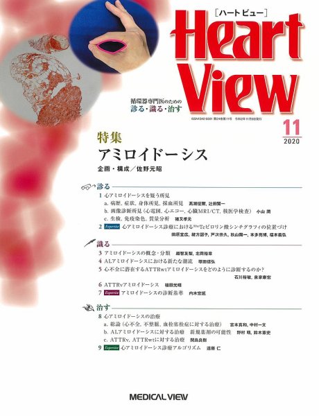 Heart View（ハートビュー） 2020年11月号 (発売日2020年10月09日) 表紙