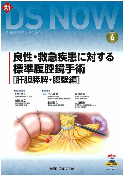 新DS NOW No.6 (発売日2020年05月31日) 表紙
