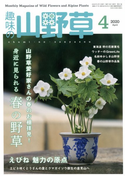 趣味の山野草 2020年4月号 (発売日2020年03月12日) 表紙