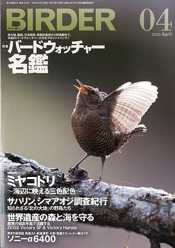 Birder バーダー 年4月号 発売日年03月16日 雑誌 電子書籍 定期購読の予約はfujisan