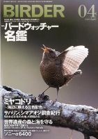 BIRDER（バーダー） 2020年4月号 表紙
