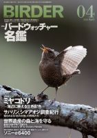 BIRDER（バーダー） 2020年4月号 (発売日2020年03月16日) 表紙