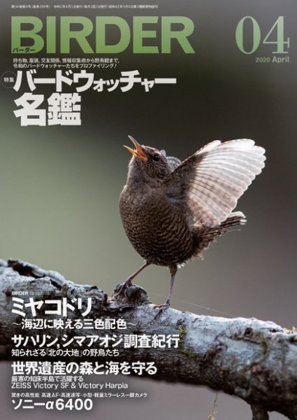 BIRDER（バーダー） 2020年4月号 (発売日2020年03月16日) 表紙