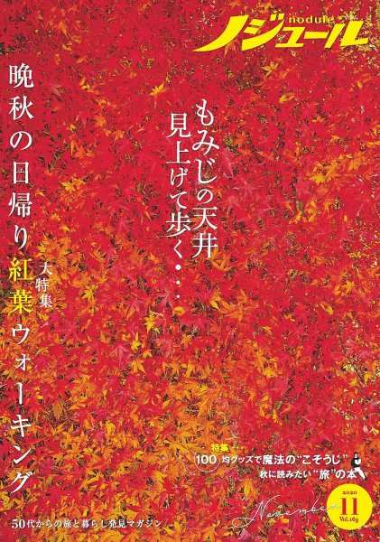ノジュール（nodule） 2020年11月号 (発売日2020年10月28日) 表紙