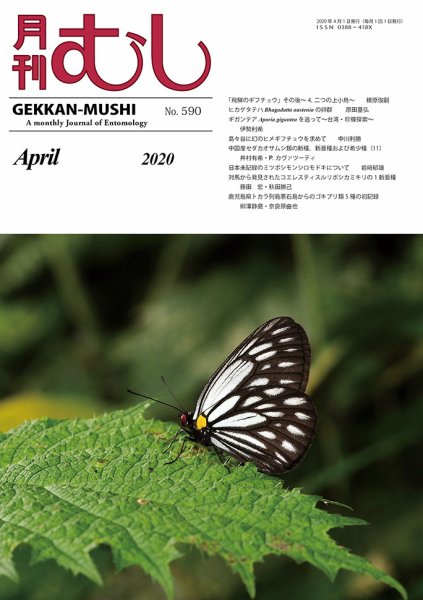 月刊むし 590 (発売日2020年03月20日) 表紙