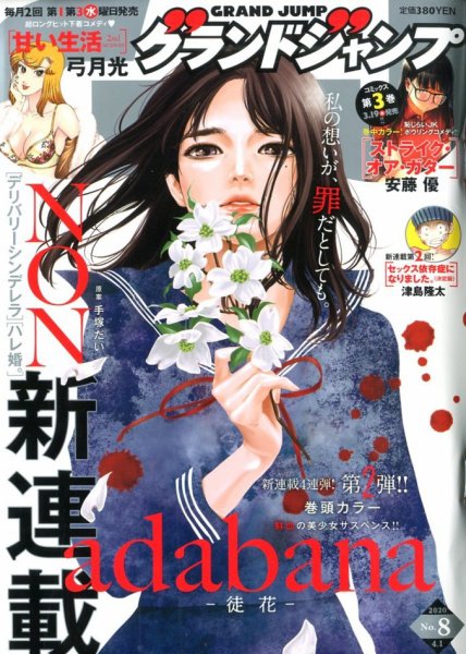 グランドジャンプ 2020年4/1号 (発売日2020年03月18日) 表紙