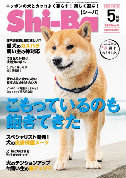 Shi-Ba(シーバ)　 2020年5月号 (発売日2020年03月28日) 表紙