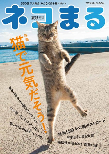 ネコまる 夏秋号 vol.40 (発売日2020年05月21日) 表紙