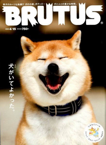 BRUTUS(ブルータス) 2020年4/15号 (発売日2020年04月01日) 表紙