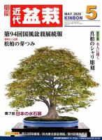 日本限定モデル】 2012年4月 近代盆栽 松柏の植え替え特集｜雑