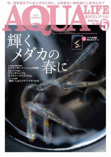 アクアライフ 5月号 (発売日2020年04月11日) 表紙