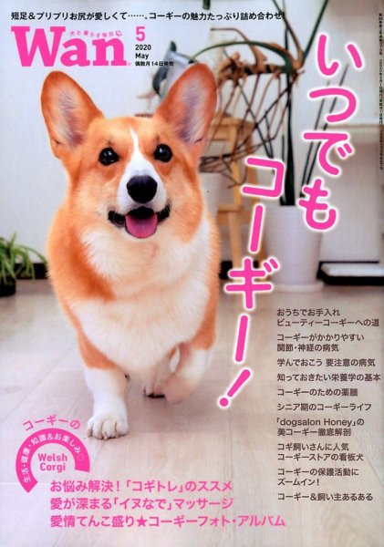 wan（わん） 2020年5月号 (発売日2020年04月14日) 表紙