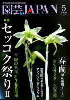 春蘭＊開花株＊5つの可憐なお花が咲いています】天然/野生/