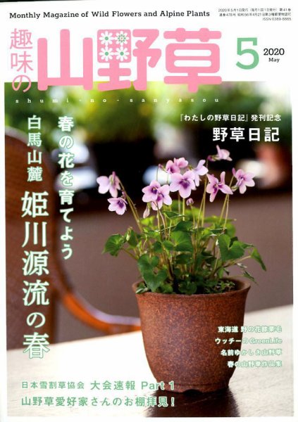 趣味の山野草 2020年5月号 (発売日2020年04月11日) 表紙