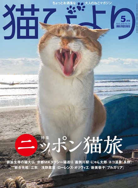 猫びより 猫びより vol.111 (発売日2020年04月12日) 表紙