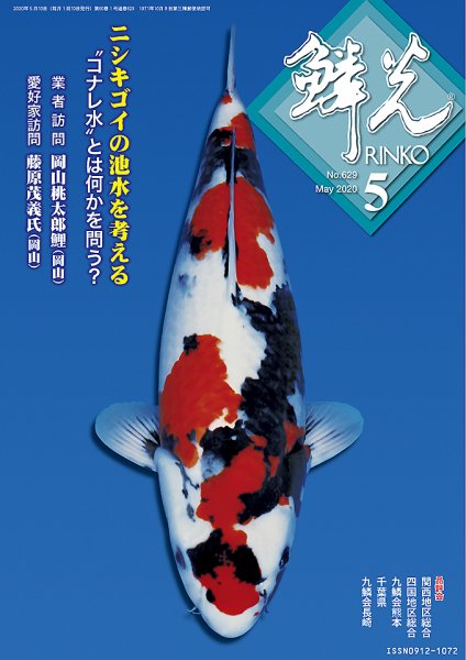 鱗光 2020年04月15日発売号 表紙