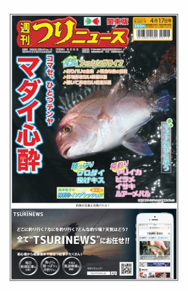 週刊つりニュース　関東版 2020年4月17日号 (発売日2020年04月13日) 表紙