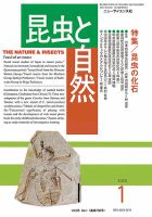昆虫と自然 2020年1月号 表紙
