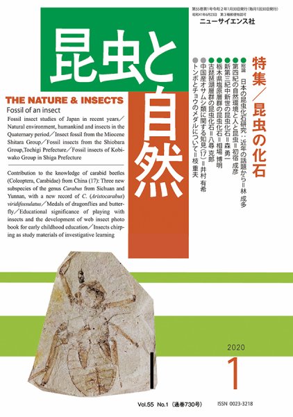 昆虫と自然 2020年1月号 (発売日2019年12月20日) 表紙