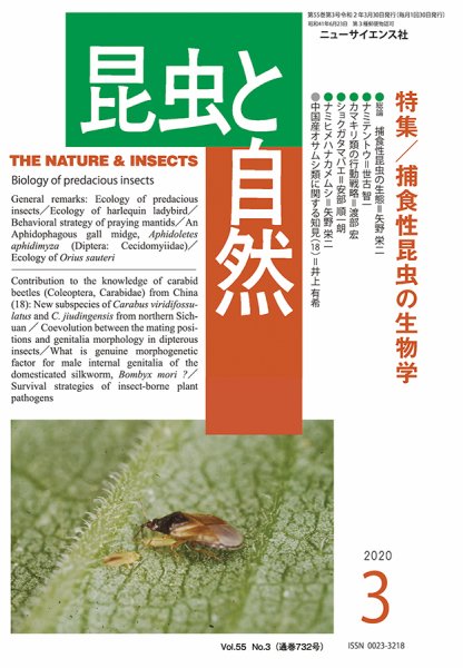 昆虫と自然 2020年3月号 (発売日2020年02月21日) 表紙
