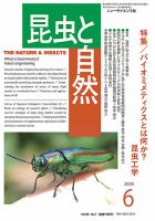 昆虫と自然 2020年6月号 表紙