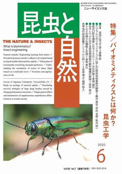 昆虫と自然 2020年6月号 (発売日2020年05月22日) 表紙