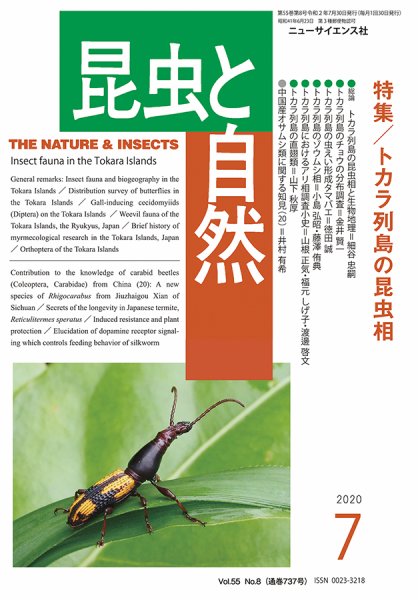 昆虫と自然 2020年7月号 (発売日2020年06月22日) 表紙