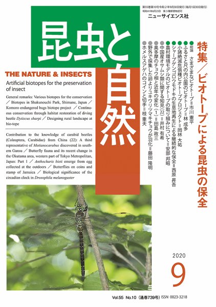 昆虫と自然 2020年9月号 (発売日2020年08月24日) 表紙