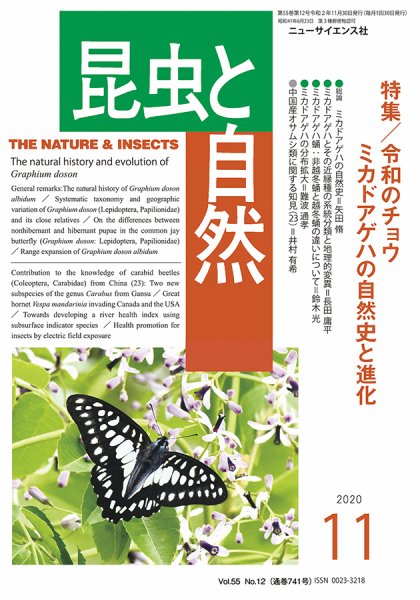 昆虫と自然 2020年11月号 (発売日2020年10月23日) 表紙